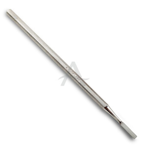Platte beitel inox / steekbeitel (Platte beitel inox / steekbeitel)