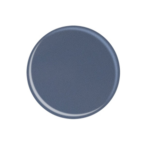 Jessica Geleration Deliciously Distressed (Jessica Geleration Deliciously Distressed)