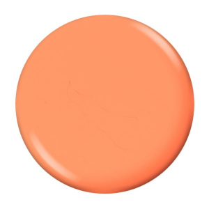 Jessica Geleration Pumpkin Spice (Jessica Geleration Pumpkin Spice)