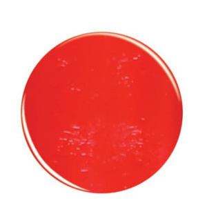 Jessica Bright Lights Nagellak (Jessica Bright Lights Nagellak)