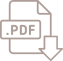 Download pdf